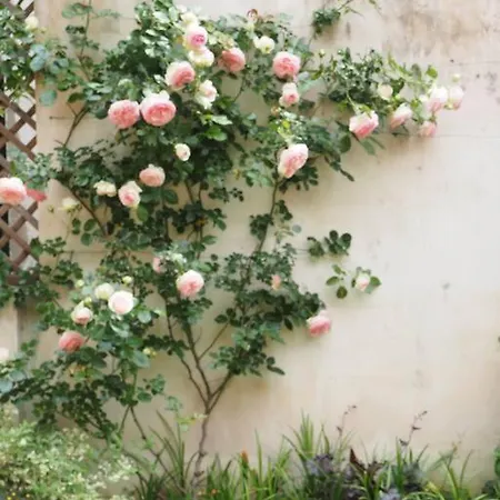 Casa Il Piccolo Giardino Szálloda